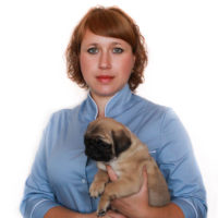 Лафуткина Анна Николаевна – ветеринарный врач Кировской ветлечебницы